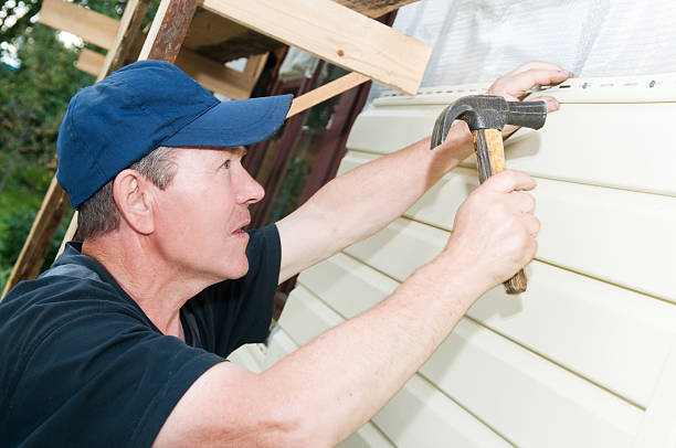 Best Steel Siding Installation  in Palatine, IL